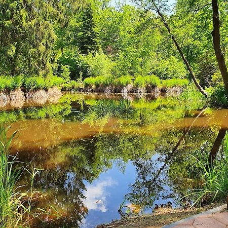 Midden In De Friese Bossen Op Landgoed Princenhof Oranjewoud Kültér fotó