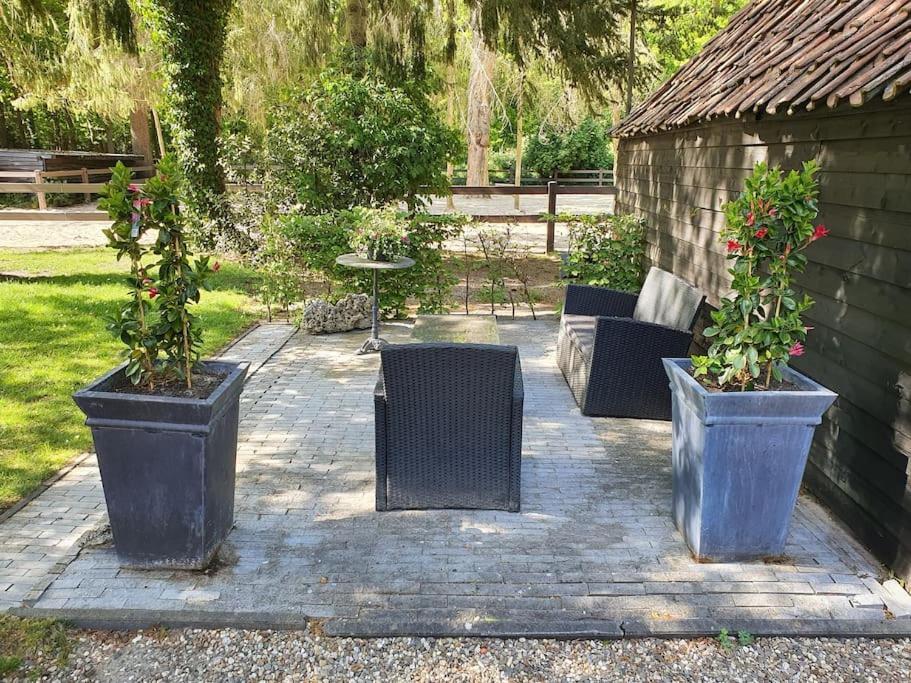 Midden In De Friese Bossen Op Landgoed Princenhof Oranjewoud Kültér fotó
