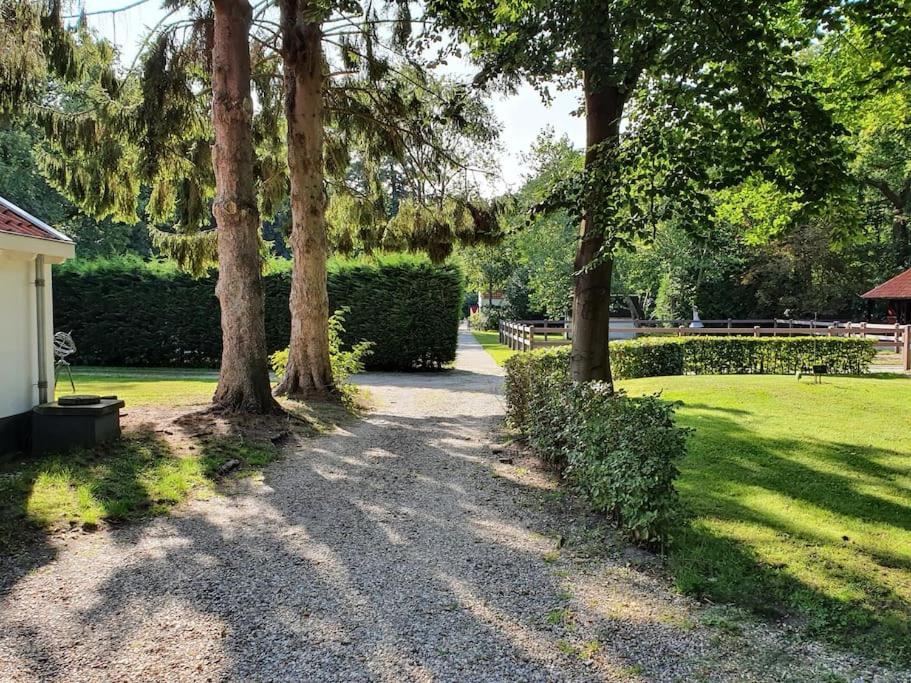 Midden In De Friese Bossen Op Landgoed Princenhof Oranjewoud Kültér fotó