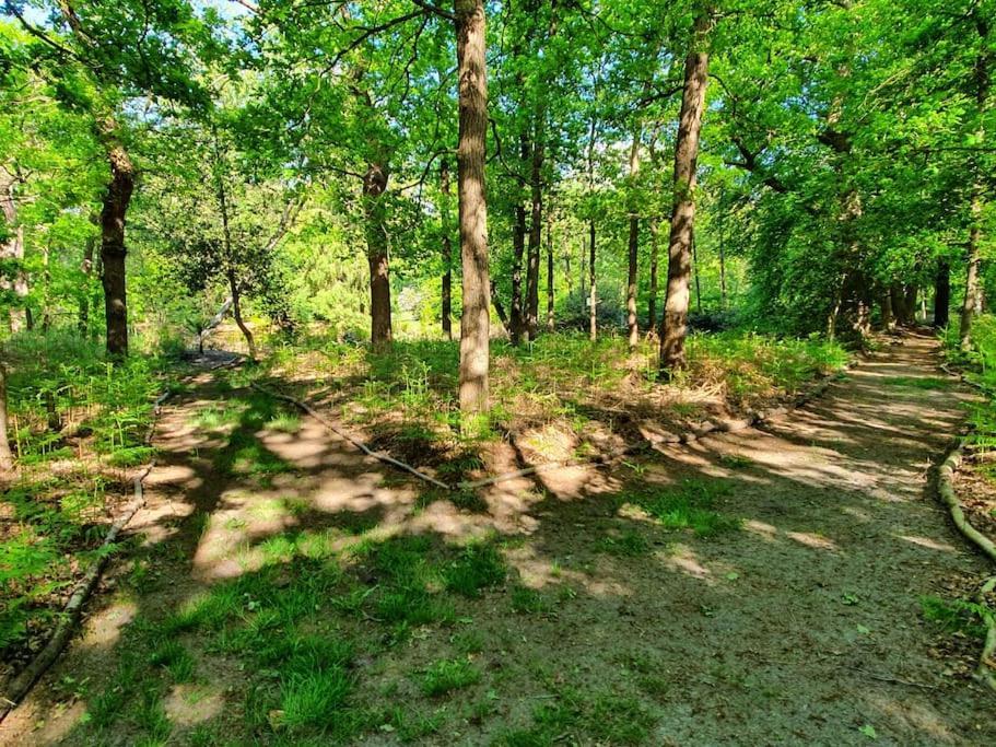 Midden In De Friese Bossen Op Landgoed Princenhof Oranjewoud Kültér fotó