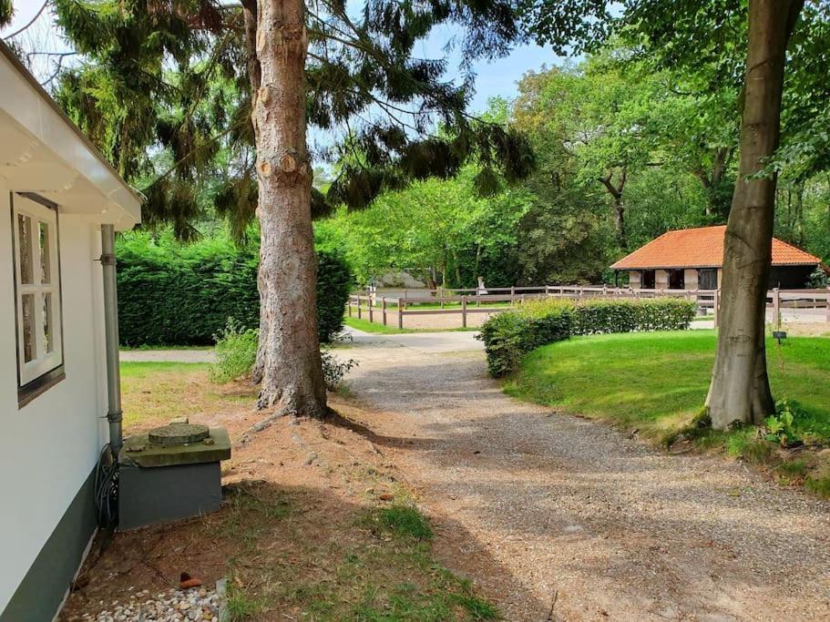 Midden In De Friese Bossen Op Landgoed Princenhof Oranjewoud Kültér fotó
