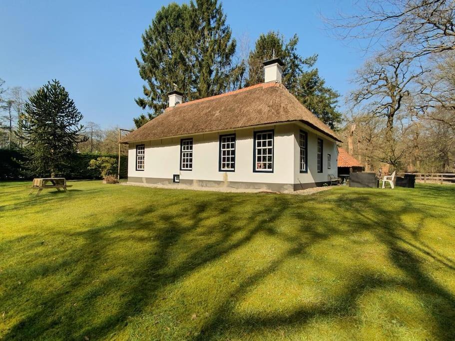 Midden In De Friese Bossen Op Landgoed Princenhof Oranjewoud Kültér fotó