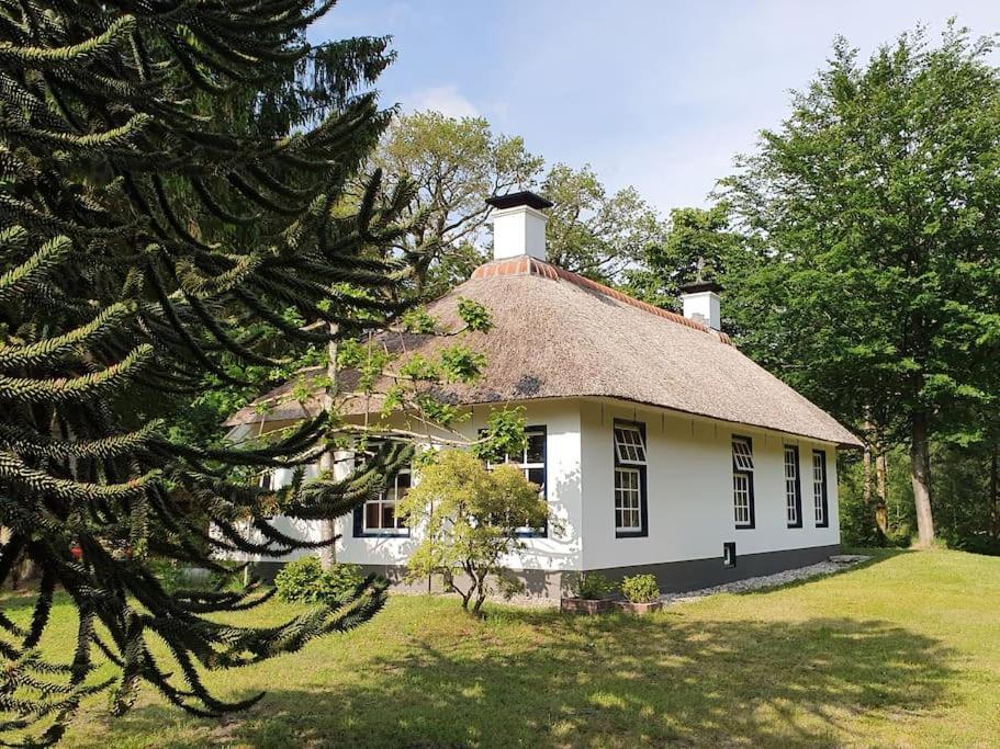 Midden In De Friese Bossen Op Landgoed Princenhof Oranjewoud Kültér fotó