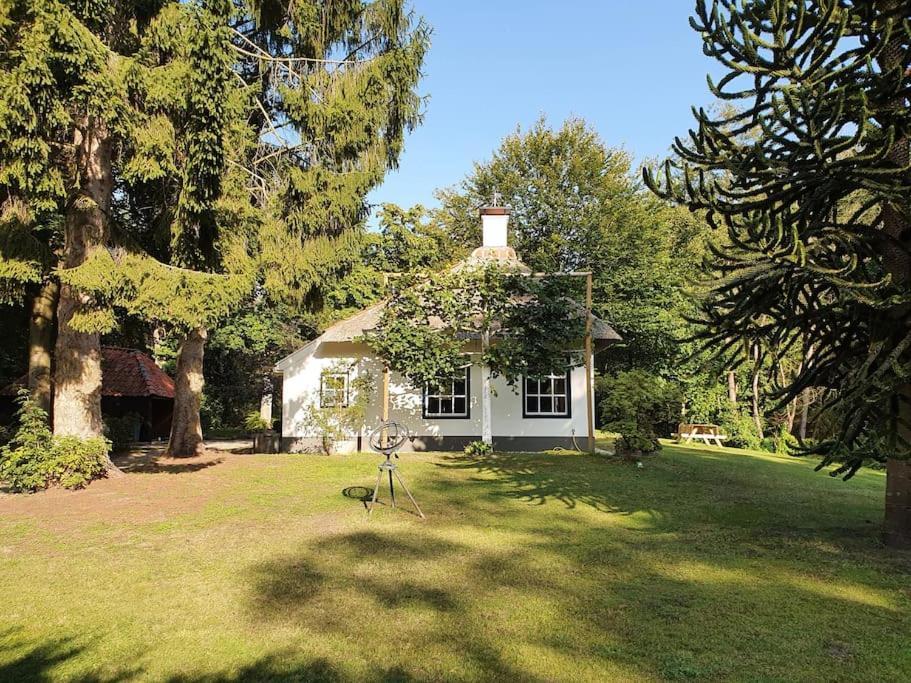 Midden In De Friese Bossen Op Landgoed Princenhof Oranjewoud Kültér fotó