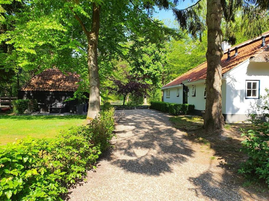 Midden In De Friese Bossen Op Landgoed Princenhof Oranjewoud Kültér fotó