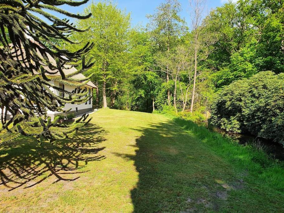 Midden In De Friese Bossen Op Landgoed Princenhof Oranjewoud Kültér fotó