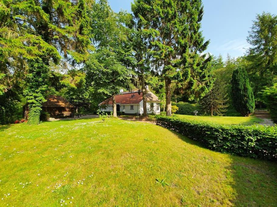 Midden In De Friese Bossen Op Landgoed Princenhof Oranjewoud Kültér fotó